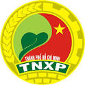 Huy hiệu TNXP TPHCM